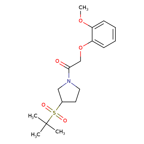 2-(2-methoxyphenoxy)-1-[3-(2-methylpropane-2-sulfonyl)pyrrolidin-1-yl]ethan-1-one