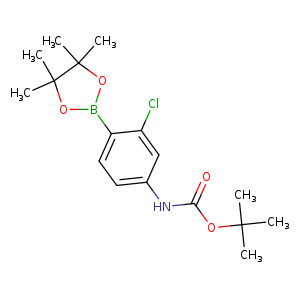 2-Chloro-4-(Boc-amino)phenylboronic acid pinacol ester