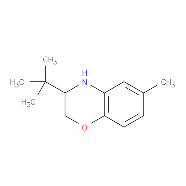 3-tert-butyl-6-methyl-3,4-dihydro-2H-1,4-benzoxazine