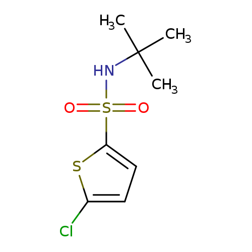 5-Chlorothiophene-2-sulfonic acid tert-butylamide