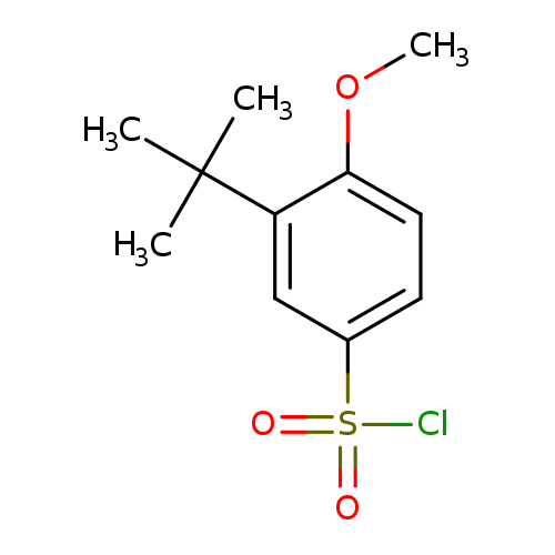 3-tert-Butyl-4-methoxy-benzenesulfonyl chloride