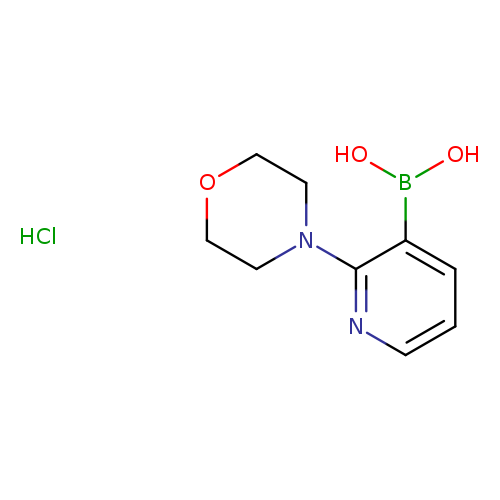 2-Morpholinopyridine-3-boronic acid, HCl