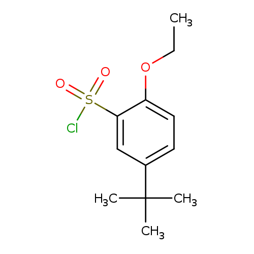 5-TERT-BUTYL-2-ETHOXYBENZENE-1-SULFONYL CHLORIDE