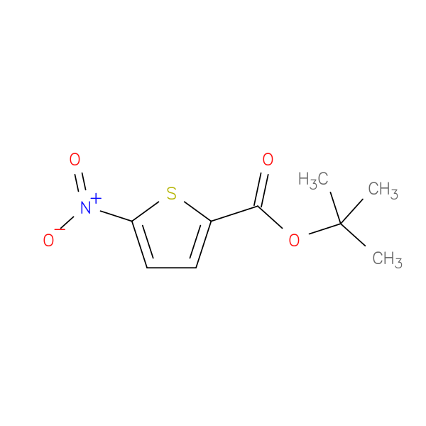 tert-Butyl 5-nitrothiophene-2-carboxylate