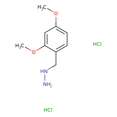 [(2,4-dimethoxyphenyl)methyl]hydrazinedihydrochloride