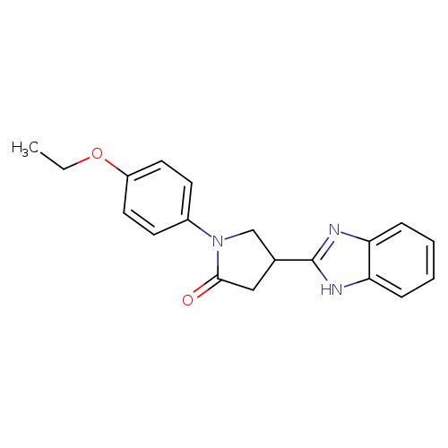 4-(1H-Benzimidazol-2-yl)-1-(4-ethoxyphenyl)pyrrolidin-2-one