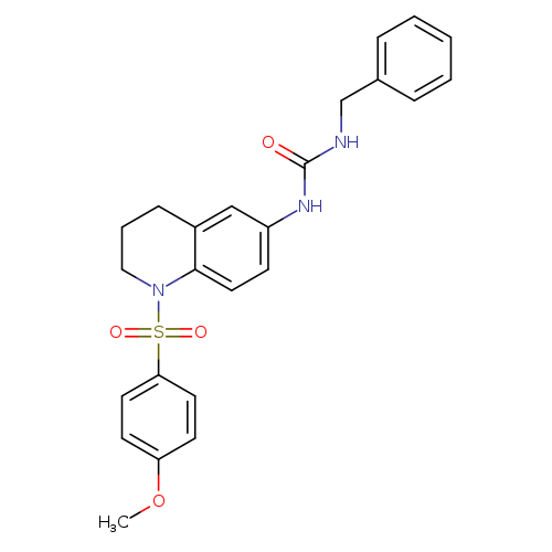 1-benzyl-3-[1-(4-methoxybenzenesulfonyl)-1,2,3,4-tetrahydroquinolin-6-yl]urea