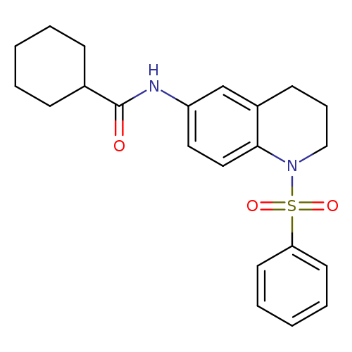 N-[1-(benzenesulfonyl)-1,2,3,4-tetrahydroquinolin-6-yl]cyclohexanecarboxamide