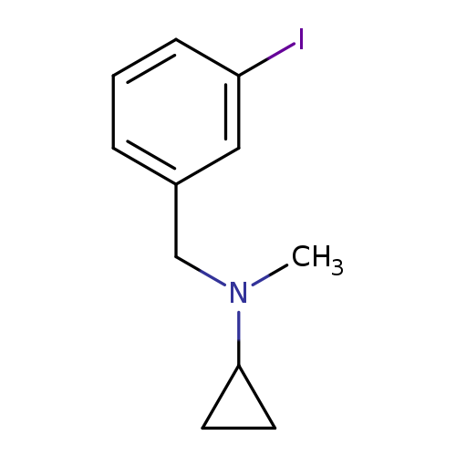 Cyclopropyl-(3-iodo-benzyl)-methyl-amine