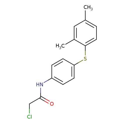 2-chloro-N-{4-[(2,4-dimethylphenyl)sulfanyl]phenyl}acetamide