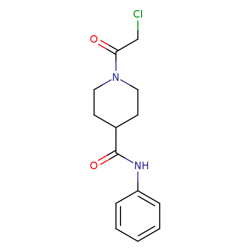 1-(2-chloroacetyl)-N-phenylpiperidine-4-carboxamide