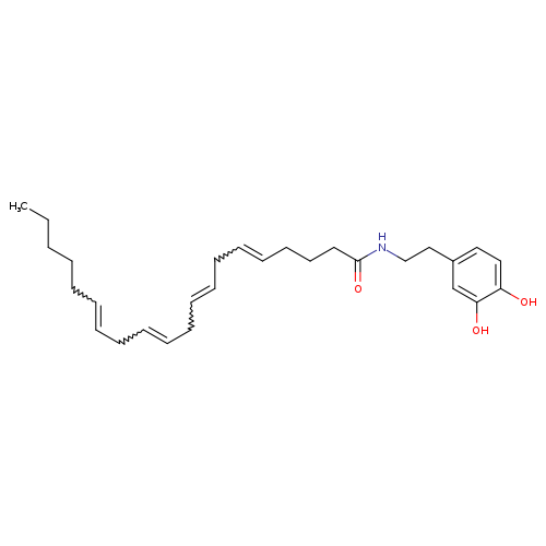 (5Z,8Z,11Z,14Z)-N-[2-(3,4-Dihydroxyphenyl)ethyl]-5,8,11,14-eicosatetraenamide