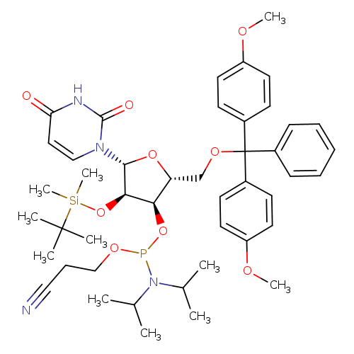 rU Phosphoramidite