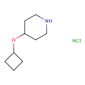 4-CYCLOBUTOXYPIPERIDINE-HCL