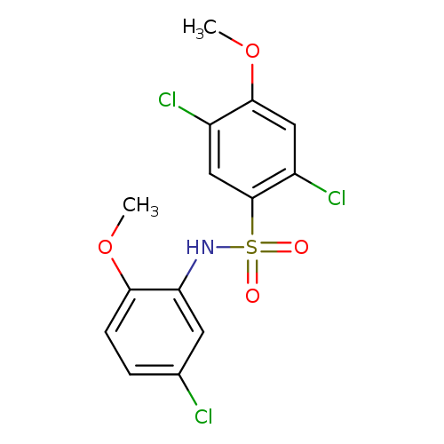 2,5-dichloro-N-(5-chloro-2-methoxyphenyl)-4-methoxybenzene-1-sulfonamide