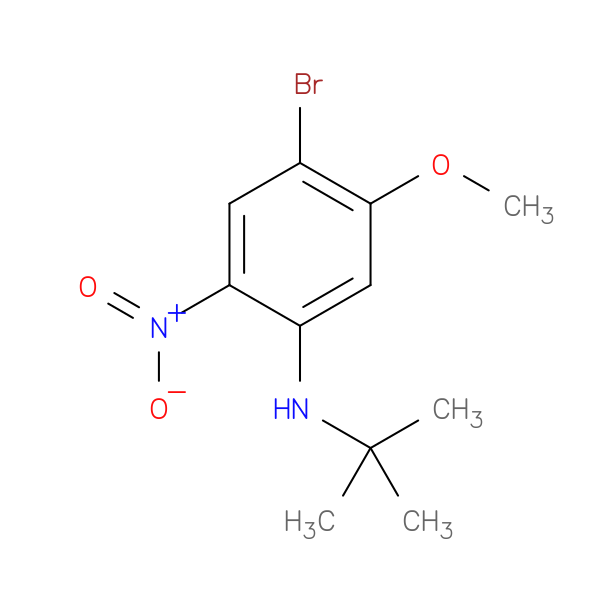 2-Bromo-5-t-butylamino-4-nitroanisole