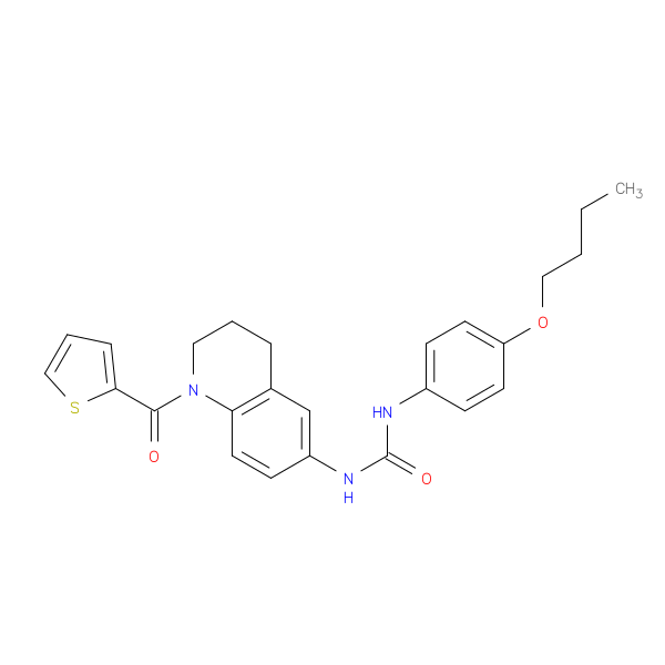 1-(4-butoxyphenyl)-3-[1-(thiophene-2-carbonyl)-1,2,3,4-tetrahydroquinolin-6-yl]urea