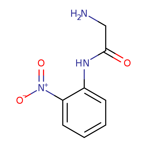 2-amino-N-(2-nitrophenyl)acetamide
