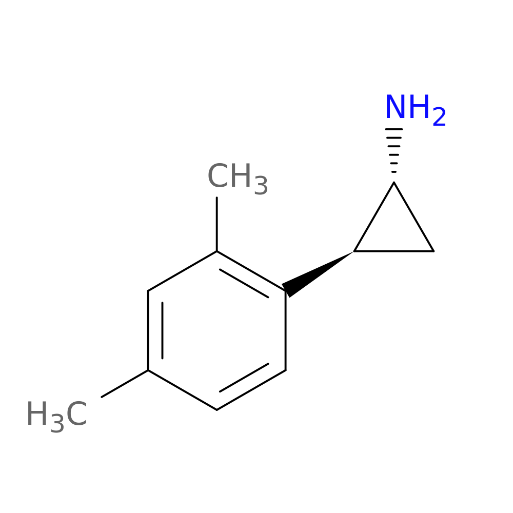 rac-(1R,2S)-2-(2,4-dimethylphenyl)cyclopropan-1-amine