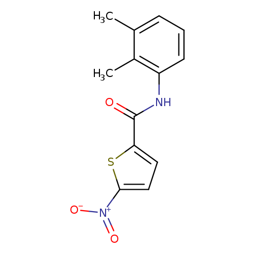 N-(2,3-dimethylphenyl)-5-nitrothiophene-2-carboxamide