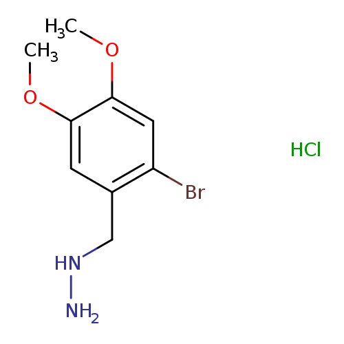 [(2-bromo-4,5-dimethoxyphenyl)methyl]hydrazine hydrochloride