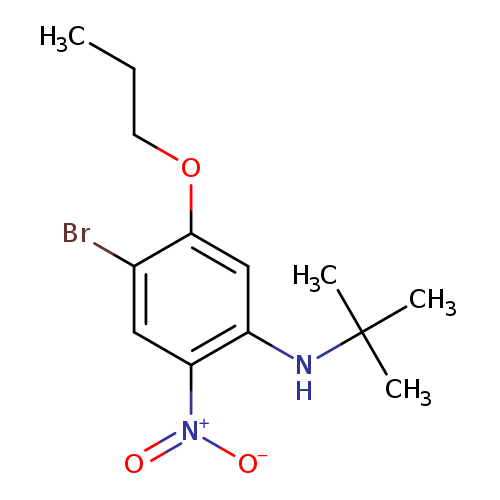 4-Bromo-N-t-butyl-2-nitro-5-propoxyaniline