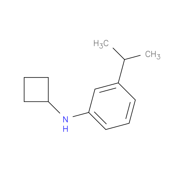 N-Cyclobutyl-3-(propan-2-yl)aniline