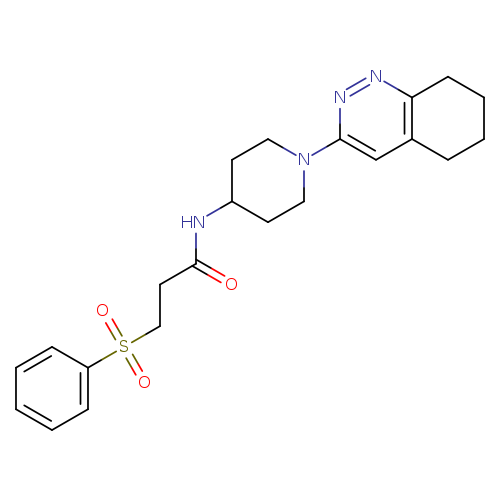 3-(benzenesulfonyl)-N-[1-(5,6,7,8-tetrahydrocinnolin-3-yl)piperidin-4-yl]propanamide