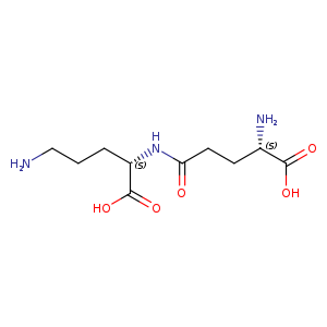 L-γ-Glutamyl-L-ornithine