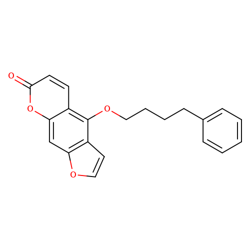 Psora 4