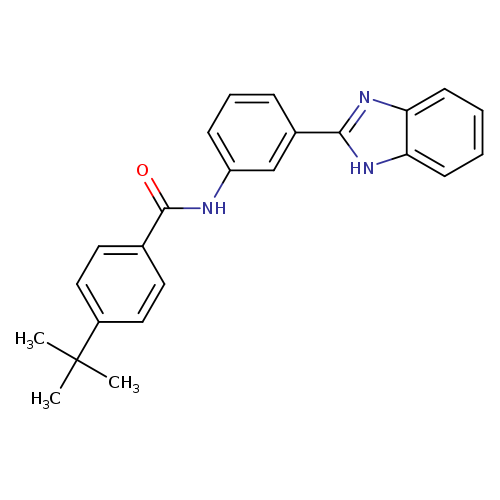 N-[3-(1H-1,3-benzodiazol-2-yl)phenyl]-4-tert-butylbenzamide