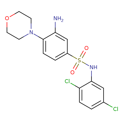 3-amino-N-(2,5-dichlorophenyl)-4-(morpholin-4-yl)benzene-1-sulfonamide