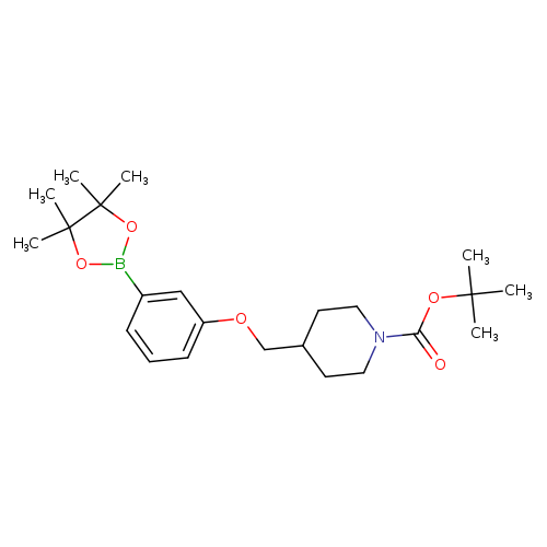 3-(N-BOC-Piperidin-4-ylmethoxy)phenylboronic acid