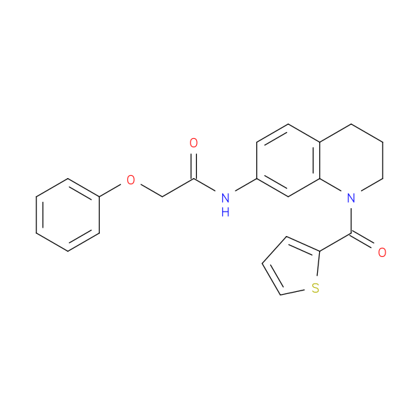 2-phenoxy-N-[1-(thiophene-2-carbonyl)-1,2,3,4-tetrahydroquinolin-7-yl]acetamide
