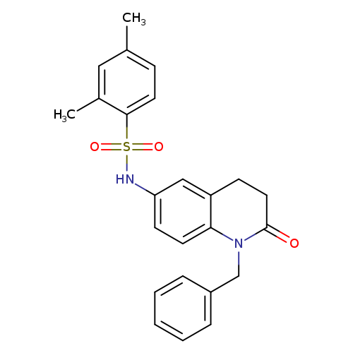 N-(1-benzyl-2-oxo-1,2,3,4-tetrahydroquinolin-6-yl)-2,4-dimethylbenzene-1-sulfonamide