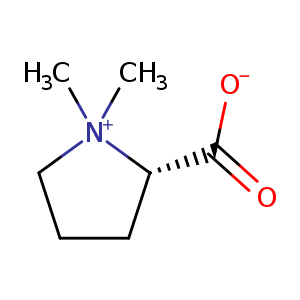 (S)-1,1-Dimethylpyrrolidin-1-ium-2-carboxylate