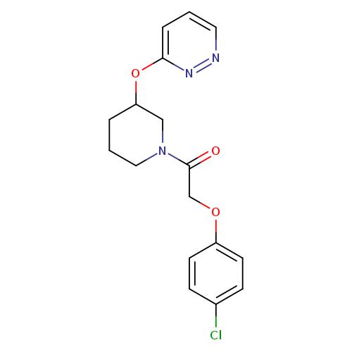 2-(4-chlorophenoxy)-1-[3-(pyridazin-3-yloxy)piperidin-1-yl]ethan-1-one