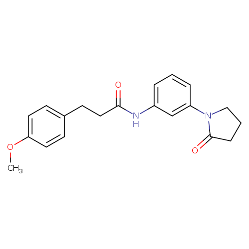 3-(4-methoxyphenyl)-N-[3-(2-oxopyrrolidin-1-yl)phenyl]propanamide
