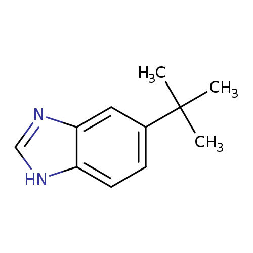 Benzimidazole, 5(or 6)-tert-butyl- (6CI)
