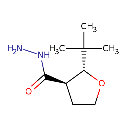 rac-(2R,3R)-2-tert-butyloxolane-3-carbohydrazide