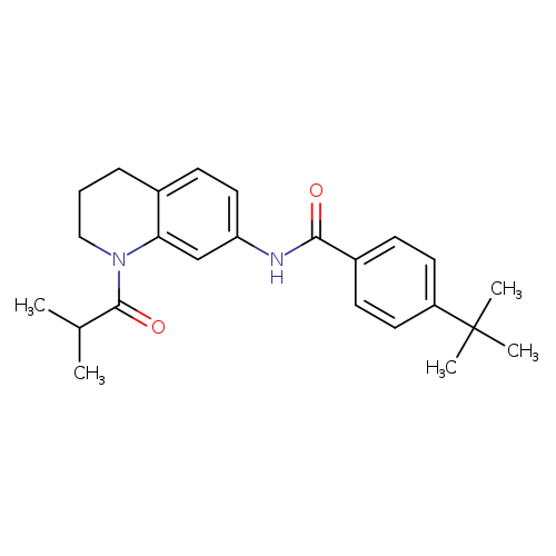 Benzamide, 4-(1,1-dimethylethyl)-N-[1,2,3,4-tetrahydro-1-(2-methyl-1-oxopropyl)-7-quinolinyl]-