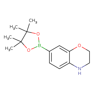 2H-1,4-Benzoxazine, 3,4-dihydro-7-(4,4,5,5-tetraMethyl-1,3,2-dioxaborolan-2-yl)-