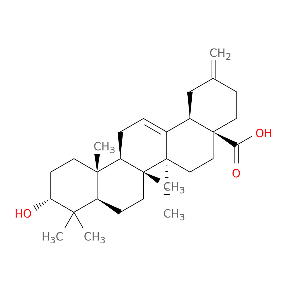 3alpha-Akebonoic acid