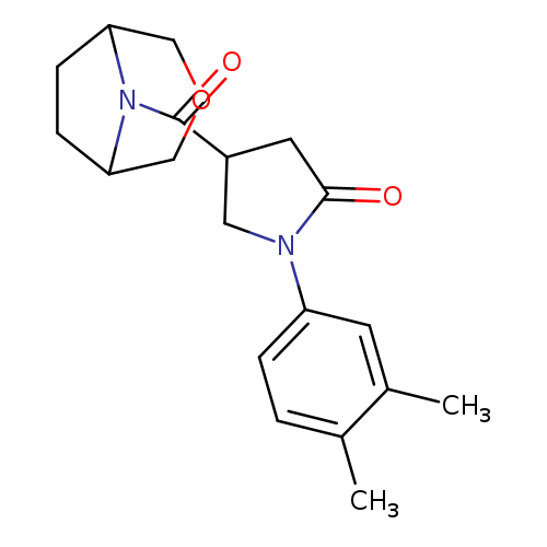 1-(3,4-dimethylphenyl)-4-{3-oxa-8-azabicyclo[3.2.1]octane-8-carbonyl}pyrrolidin-2-one