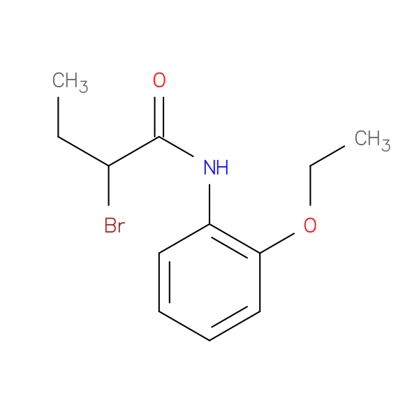 2-Bromo-n-(2-ethoxyphenyl)butanamide