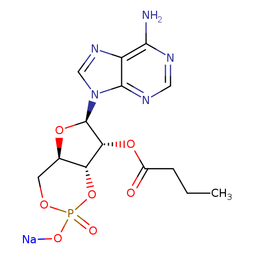 2'-O-MB-CAMP (SODIUM)