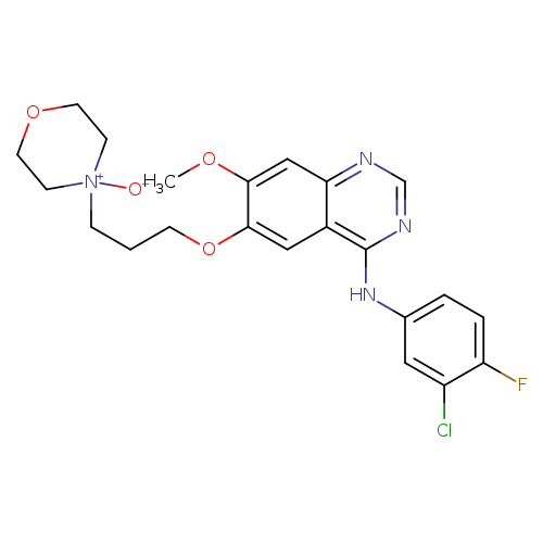 Gefitinib N-Oxide