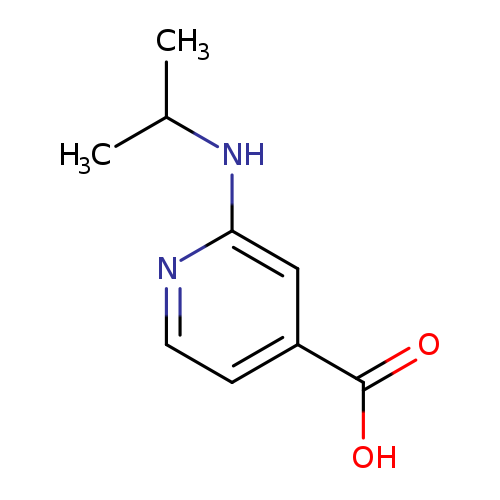 2-(Isopropylamino)isonicotinic acid
