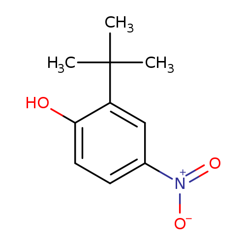 2-TERT-BUTYL-4-NITROPHENOL