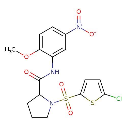 1-[(5-chlorothiophen-2-yl)sulfonyl]-N-(2-methoxy-5-nitrophenyl)pyrrolidine-2-carboxamide